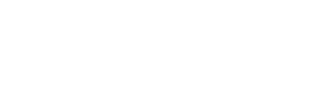 Brovvi digital marketing agency logo